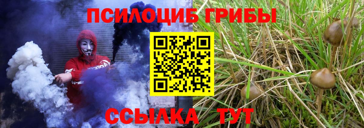 как найти наркотики  Псилоцибиновые грибы ЛСД  Вход с VPN  Асбест 