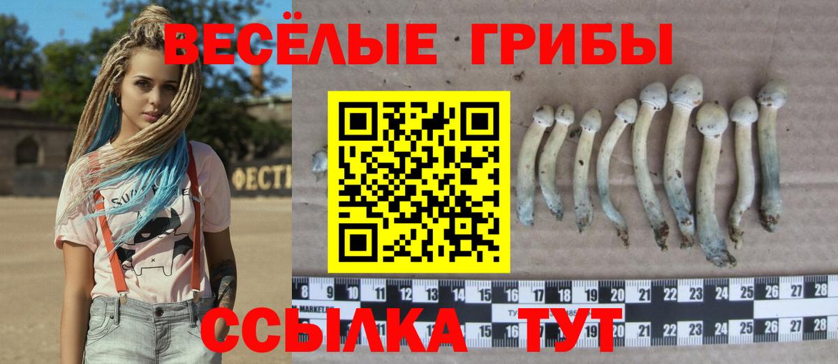Псилоцибиновые грибы мицелий Асбест
